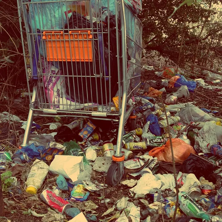 Trash-Hauling--in-Virginia-Beach-Virginia-Trash-Hauling-3996870-image