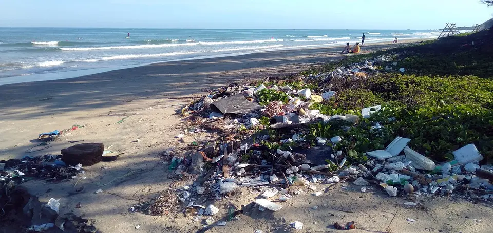 Waste-Pickup--in-Virginia-Beach-Virginia-Waste-Pickup-3999420-image
