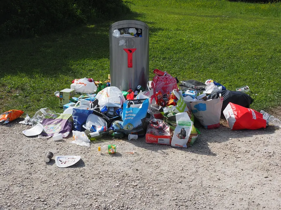 Trash-Pickup--trash-pickup.jpg-image